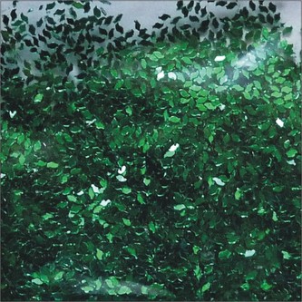 ARTEMISS Glitr hrubý Velikost: 100g, Odstín: zelená