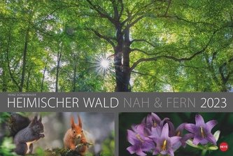Wald nah und fern Edition Kalender 2023