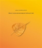 Třicet sedm rukoubraní Džinaputrů