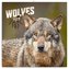 Kalendář 2023 poznámkový: Vlci, 30 × 30 cm