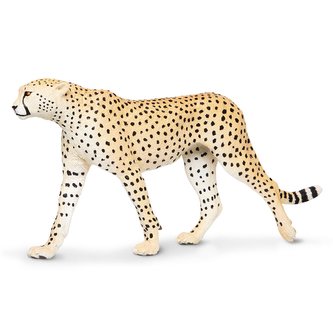 Gepard