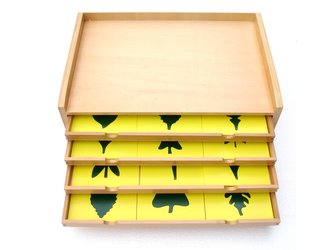 Botanická komoda s listy