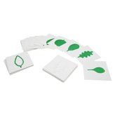 Karty - tvary listů