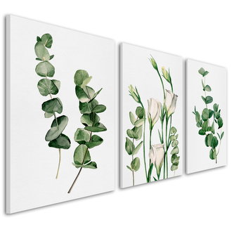 Obraz na plátně PLANTS III. set 3 kusy 3x50x70 cm Ludesign