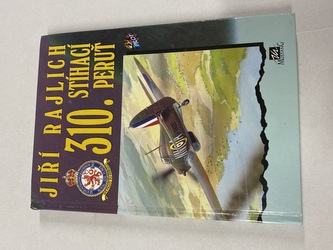 310. stíhací peruť