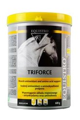 Equistro Triforce 600g