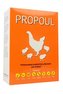 Propoul plv  500g