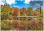 Indian Summer 2023 L 35x50cm