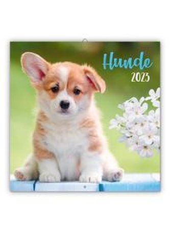 Trötsch Broschürenkalender Hunde 2023