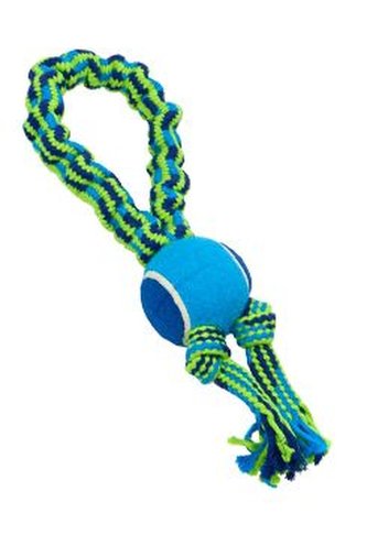 Hračka pes Bungee Smyčka s tenisákem modrá/zelená 33cm
