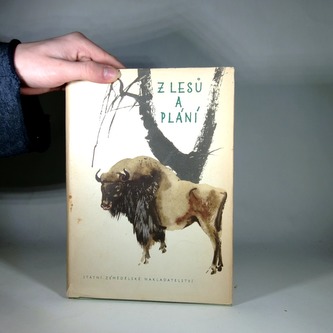 Z lesů a pláni