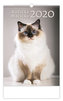 Kalendář nástěnný 2020 - Kočičky/Mačíčky