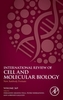 New Antibody Formats