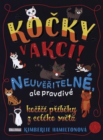 Kočky v akci!