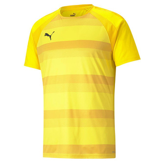 Dres Puma teamVISION, Dres Puma teamVISION | 704921-07 | L