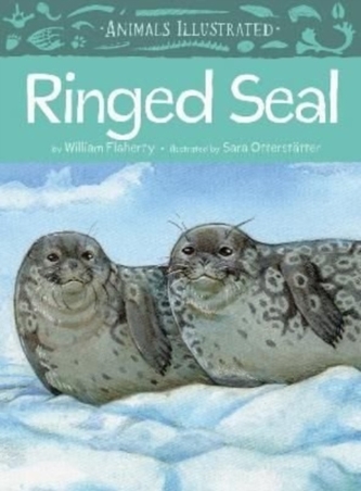 Animals Illustrated: Ringed Seal
