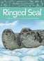 Animals Illustrated: Ringed Seal