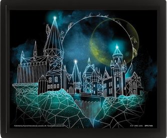 Harry Potter Obraz 3D - Bradavice