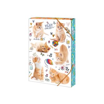 Box na sešity A4 Cats