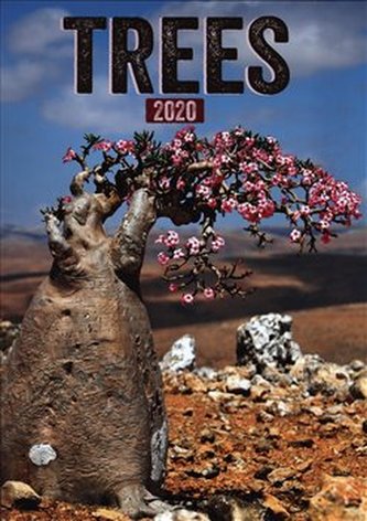 Nástěnný kalendář Stromy 2020, 33 × 46 cm