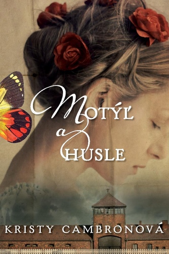 Motýľ a husle Motýľ a husle