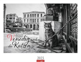 Venedig und die Katzen Kalender 2023