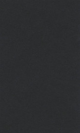 Barevný papír Lana 70x100cm - 29 black