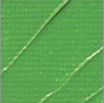 Akrylová barva Pébéo 100ml – 43 cadmium green hue