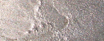 Kovová barva tekutá 100 ml – 09 zlato růžové