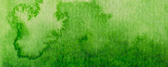 Akvarelová barva Renesans 15ml – 39 Zeleň permanentní