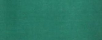 Napařovací barva na hedvábí 100ml – 151 Zeleň tmavá