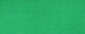 Barva na hedvábí Renesans 50ml – Zeleň tmavá 151