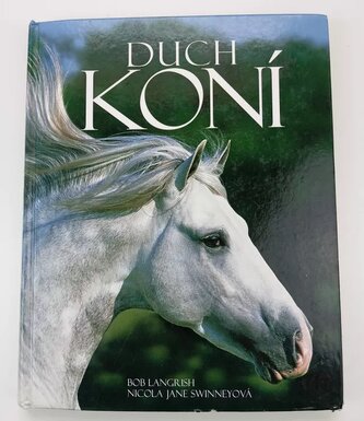 Duch koní