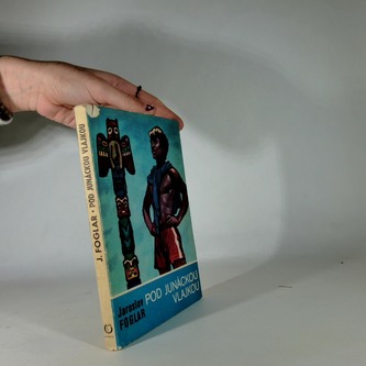 Pod junáckou vlajkou