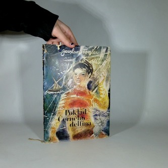 Poklad černého delfína