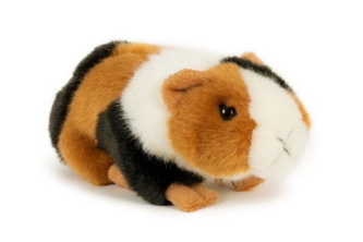 Morče plyš 16cm 0m+