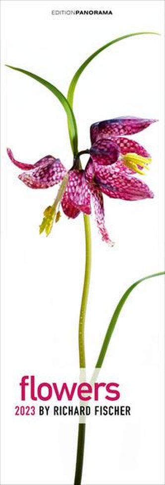 Flowers 2023