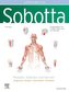 Sobotta Lerntabellen Anatomie Muskeln, Gelenke und Nerven
