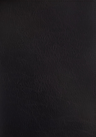 ESV, Thompson Chain-Reference Bible, Bonded Leather, Black, Red Letter, Thumb Indexed