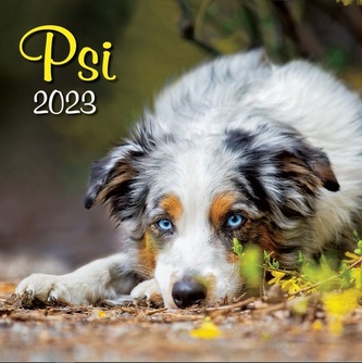 Kalendář 2023 Psi, nástěnný