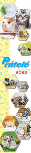 Kalendář 2023 Přátelé, nástěnný