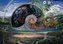 Puzzle 1500 Nautilius, Josephine Wall