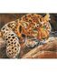Mozaika diamentowa - Jaguar 40x50cm