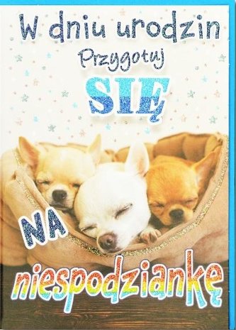 Kartka okolicznościowa Urodziny TS92