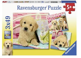 Puzzle 3x49 Słodkie szczeniaki