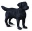 COLLECTA Labradorský retrívr