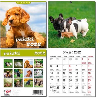 Kalendarz 2022 13 plansz Psiaki