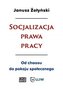 Socjalizacja prawa pracy
