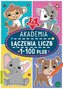 Akademia laczenia liczb 1-100 plus