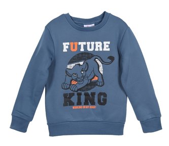 MIKINA LVÍ KRÁL - velikost 3